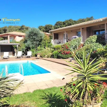 125m2 6/8 Pers Trinité De Vecchio Piscine