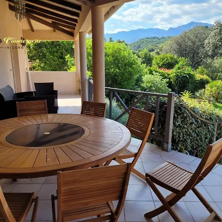 Holiday home 125m2 6/8 Pers Trinite De Vecchio Piscine *
